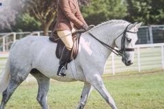 Xaria-Overy-Horse_Pony-Linzgarth-Crusader-of-Hope