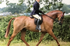 Zoe Burton and Private Eye