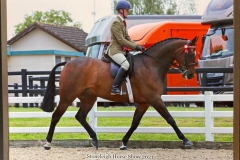 Glen-Allen-and-Greylands-Ace-High