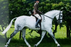 Ballymoyle Wicklow Gem and Samantha Osborne