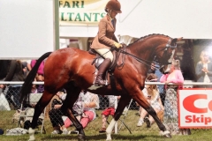 Anna Chaplin & Primitive Poirot