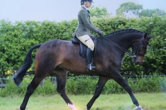 Hart Beat & Becky Patterson