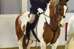 William Pittendrigh 16 and Constellation II