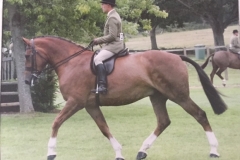 golden inca cross & Karl standing