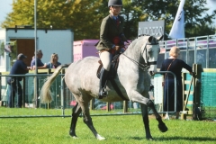 Coolamber Babe & Verity Murray