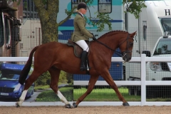 Darkwaters Dejavu & Zara Owen