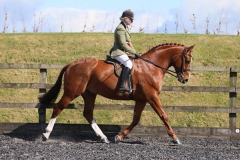 Darkwaters Dejavu and Zara Owen