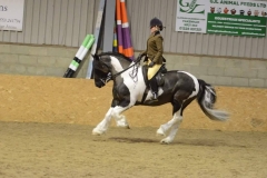 nantllesg elwyn rider Roanna Hamilton