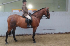 Carnsdale Capability Brown Rider John Bland