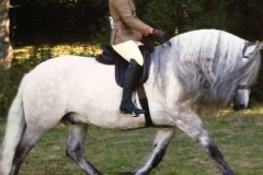 Ellie Bowen and Glenwestcastle Master Basil