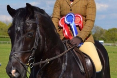 Martletwy Welsh Comet and Rose Sinclair-James