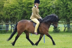 Pumphill Clarion and Olivia Beumon