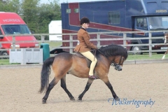 Rachelle Tomlinson and Sweetcombe Sunmaker