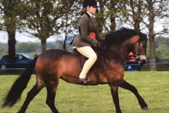 Shilstone Rocks Snowy River and Sophie Acton