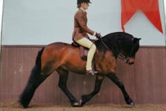 Zara Johnstone-Evans and Pumphill Fandango