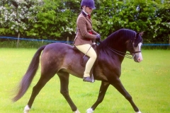 Terri Guyett and Waxwing prince hal