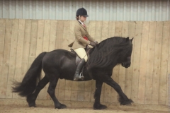 Banksgate Tamlin and Lauren Elliot