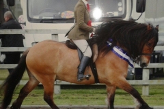 Jester of Ryedale and  Lucinda Craven