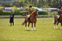 Anna Stacey and Mowcastle Mickey