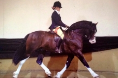 Larnleighs Dictator and Sophie Howard