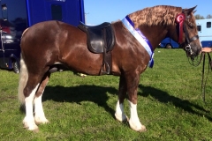 Larnleighs Express and Tracey Milward