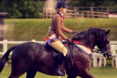 Llanidan Linesman and Lili Burridge