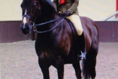 Llanidan Lisa Lan and Alice Barr