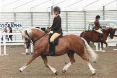 Rivervalley Lou Lou and Hannah Atkinson