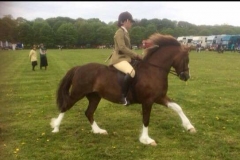 Synod ribbons and Lauren Beaumont