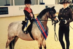 Springbourne Elroy & Milly Gilbert