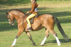 Treowen Rhys and Madison Louise Dalley