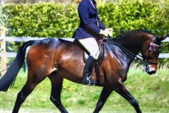 Moonlite Serenity and Miss Lauren Hunter