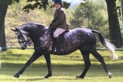 Kerrilee Wilson Smith and Ferrari Star