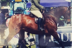 Lucy Proctor & Jackson fair and square