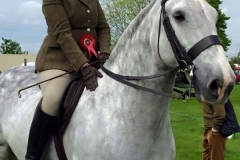 Cock O The North and Nikki Proctor