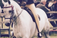 Alexandra Blackwells and pickmere lady arwen