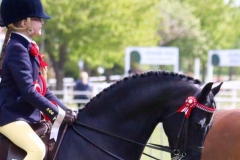 Tabitha Wood & Archwood Romeo Gigle