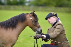 Sam Dyer‎ and Ridgegate Big City Bucks