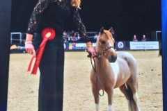 Leonie Holloway & Scott Creek Monarch Red Graffiti