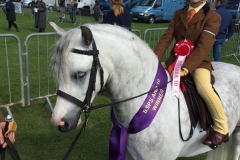 Lilly Walker and Westfirle Red Kite