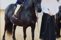 William Parkin and Newoak Gold Edition