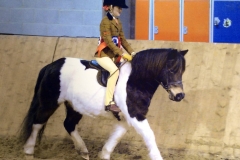 Coppice Brigitta and Sydney Head