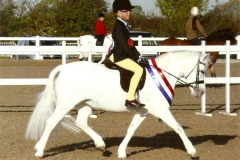 Oldacres Lilli and Oliver Fenton.