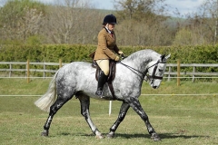 Johnny Diamonds Ridden by Katie common