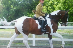 Tomahawk IV & Nick Crook