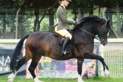 Rivervalley Roger & Jessica Matthews