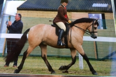 Dalyhill Rocker and Alex Hawkins