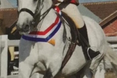 Debbie Gregson‎ & Walstead pageboy