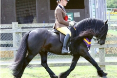 Townend Schubert & Rebecca Penny