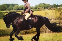 Vindomora Sweet William & Sandy Mawson